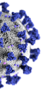 covid 19 virus illustration half slice 4