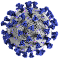 covid 19 virus illustration small 3